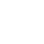 Función cerebral y enfoque